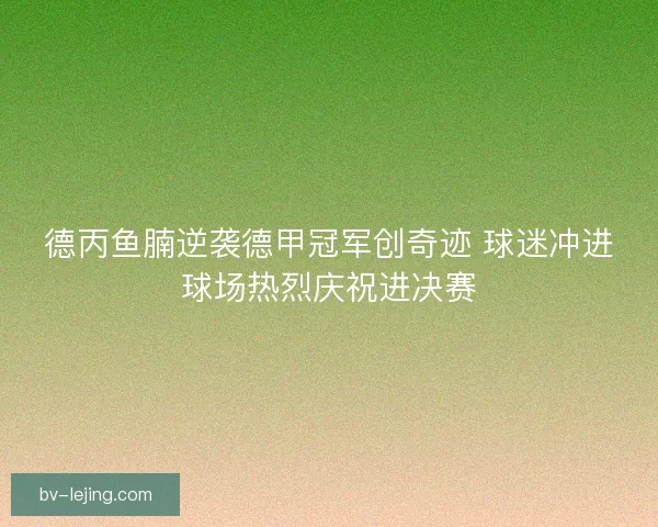 德丙鱼腩逆袭德甲冠军创奇迹 球迷冲进球场热烈庆祝进决赛